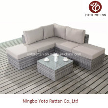 Outdoor Rattan Kleine Sofa Set (1401)